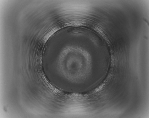 X0000100401081200806201731