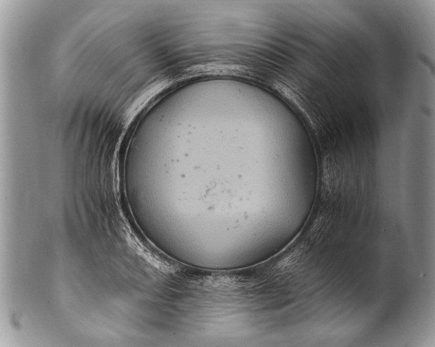 X0000100401082200806201731