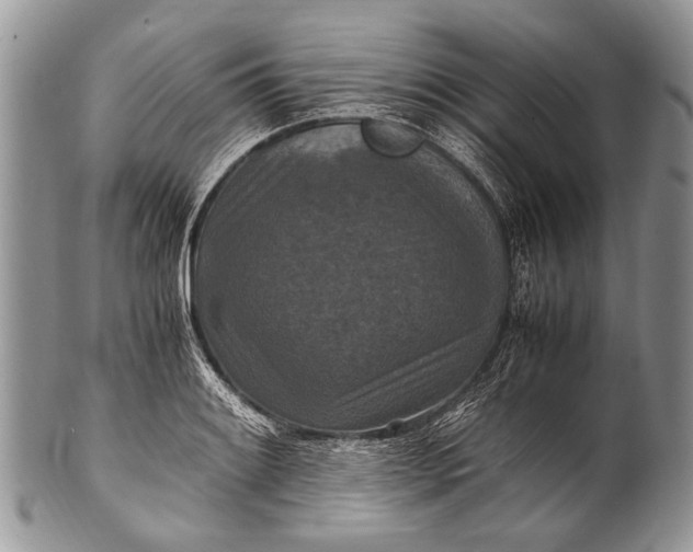 X0000100401084200806201731