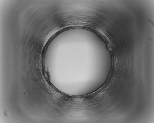 X0000100401085200806201731