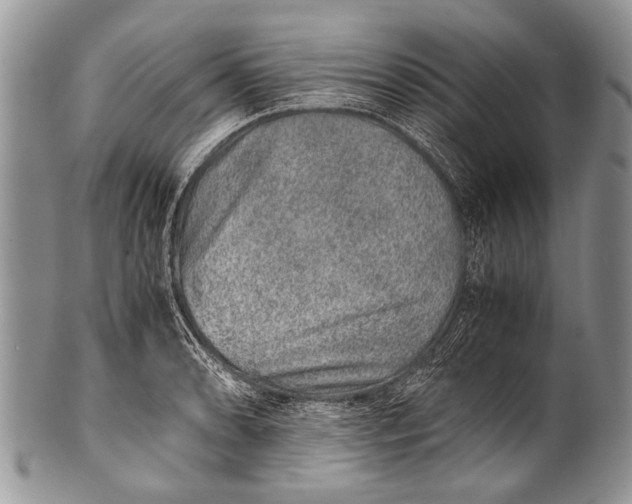 X0000100401086200806201731