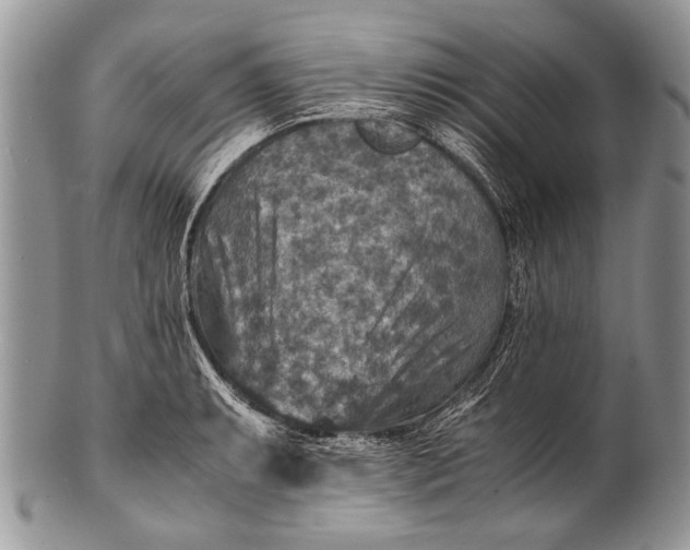 X0000100401087200806201731