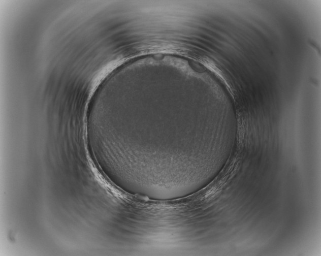 X0000100401088200806201731