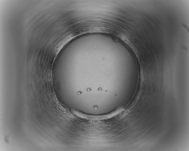 X0000100401089200806201731