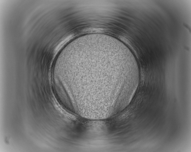 X0000100401090200806201731