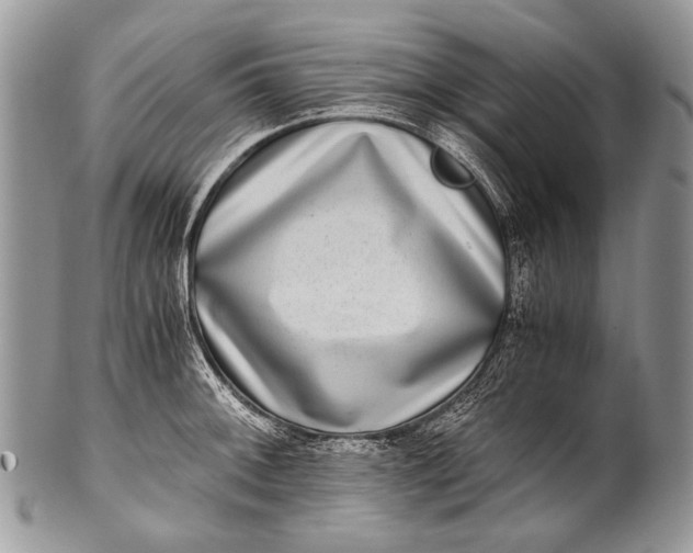 X0000100401092200806201730