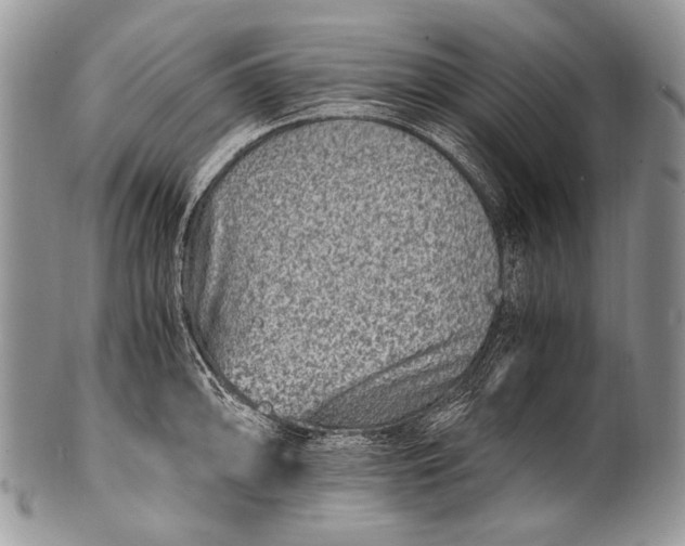 X0000100401094200806201730