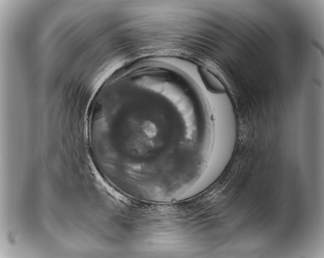 X0000100401095200806201730