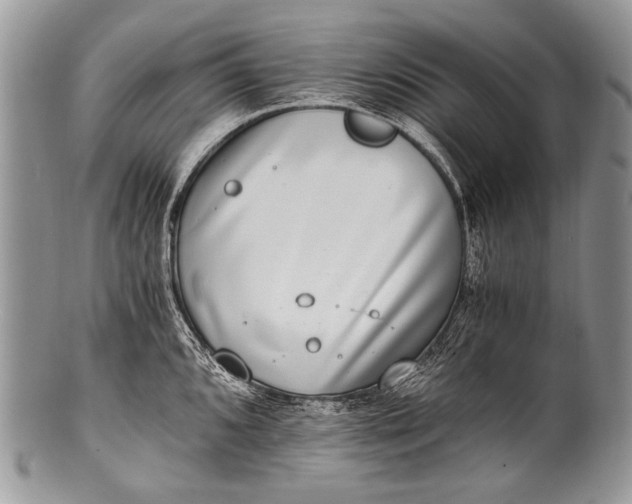 X0000100401096200806201730