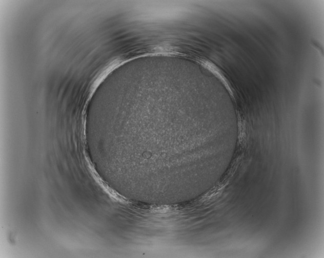X0000100401099200806201730