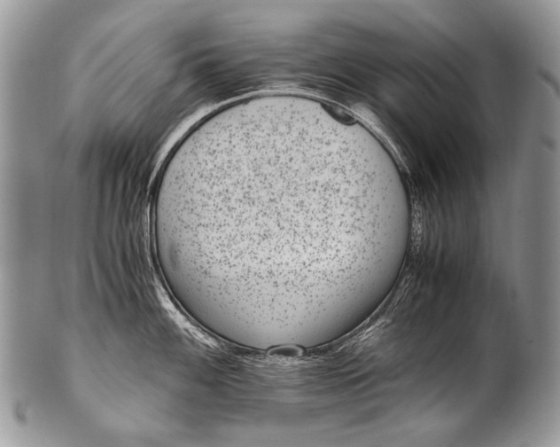 X0000100401100200806201730