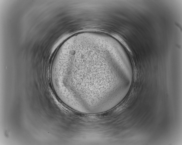 X0000100401101200806201730