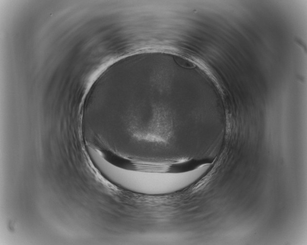 X0000100401102200806201730