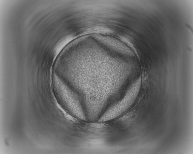 X0000100401103200806201730