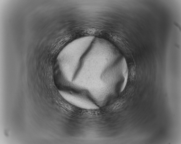 X0000100401105200806201730