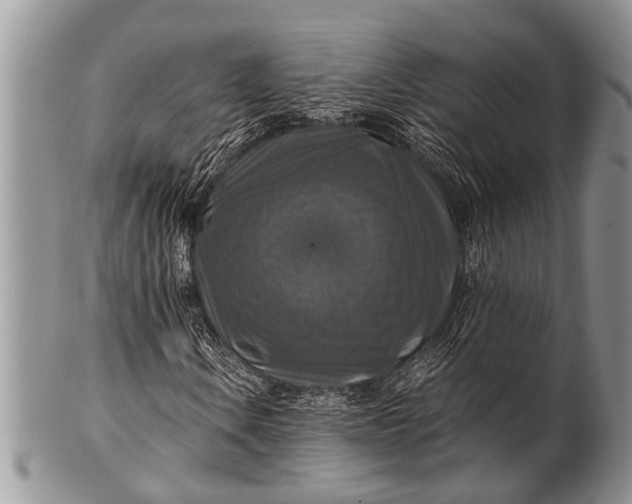 X0000100401106200806201730