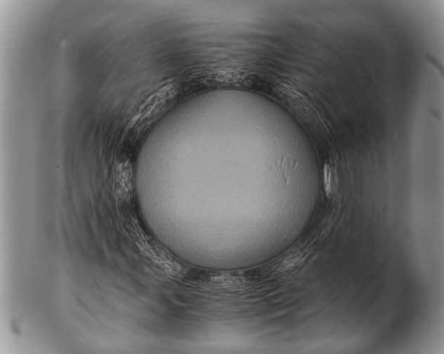 X0000100401107200806201730