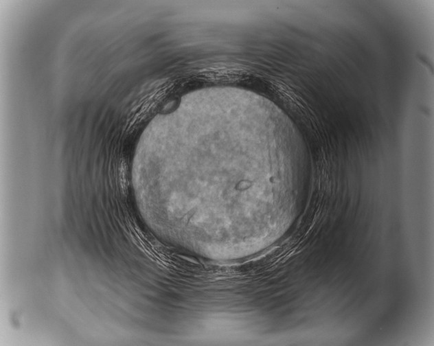 X0000100401108200806201730
