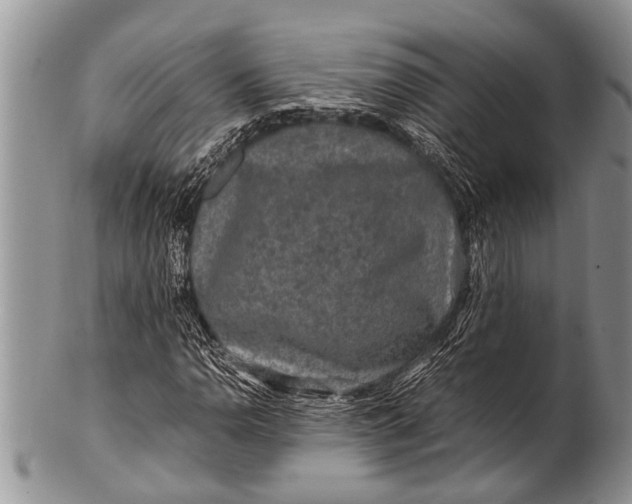 X0000100401110200806201730