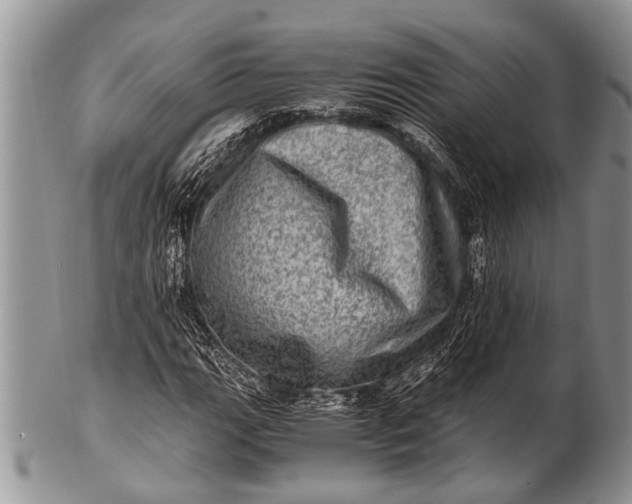 X0000100401111200806201730