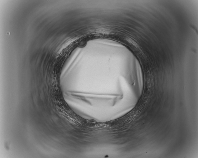 X0000100401112200806201730