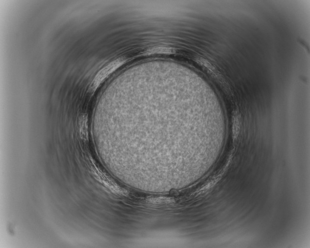 X0000100401113200806201730