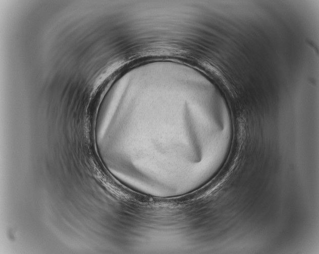 X0000100401114200806201730