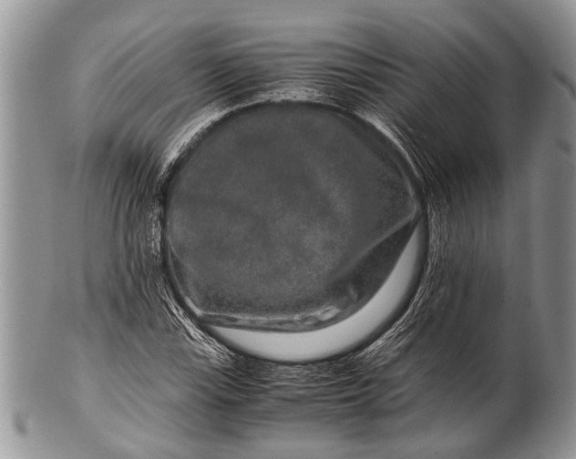 X0000100401115200806201730