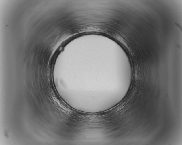 X0000100401116200806201730