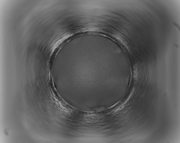 X0000100401117200806201730