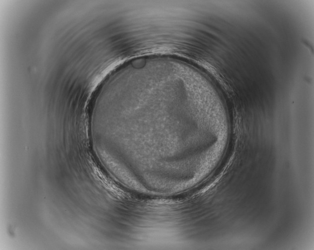 X0000100401118200806201730