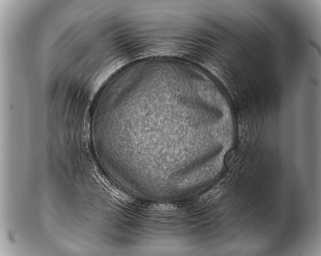 X0000100401119200806201730