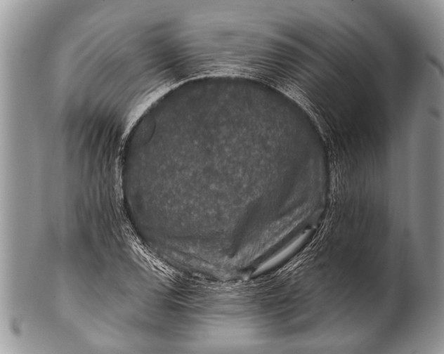 X0000100401120200806201730