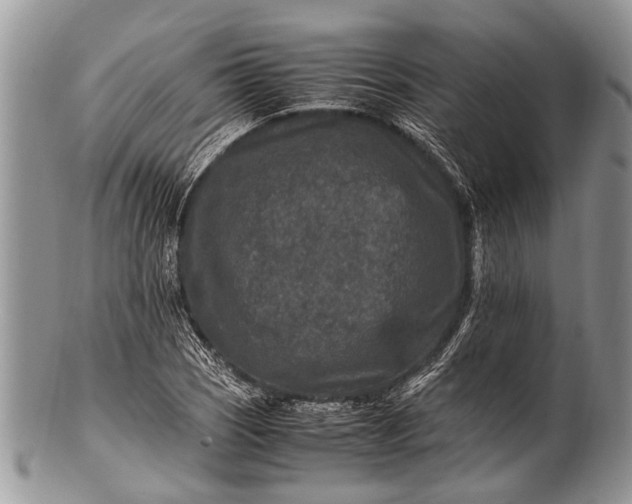 X0000100401121200806201730