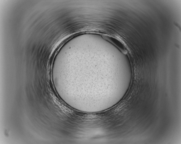 X0000100401124200806201730