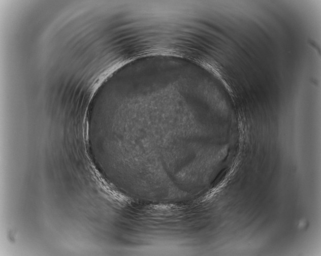 X0000100401125200806201730