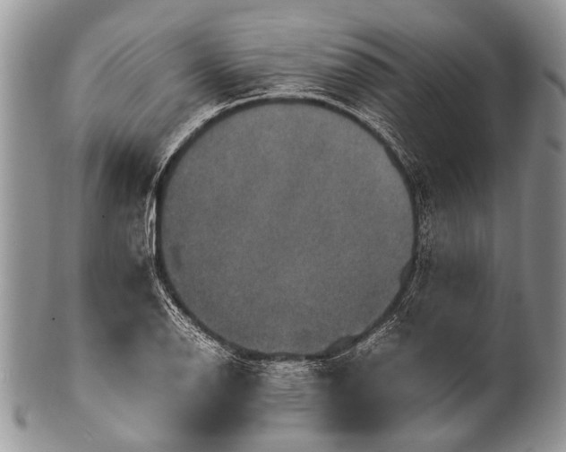 X0000100401126200806201730