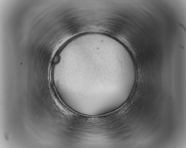 X0000100401128200806201730
