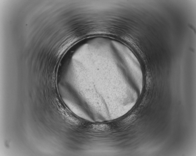 X0000100401129200806201730