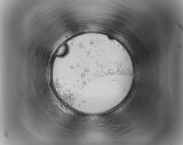X0000100401130200806201730