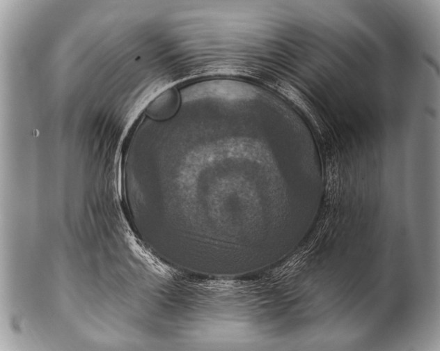 X0000100401132200806201730