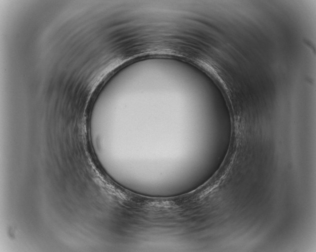 X0000100401133200806201730