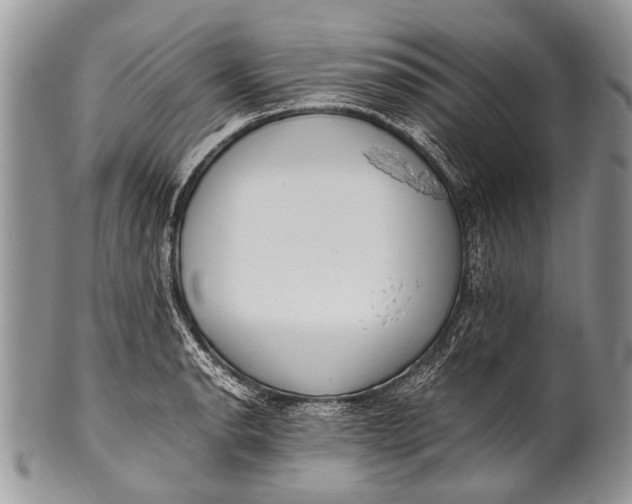 X0000100401134200806201730