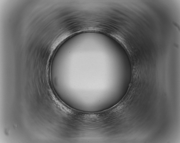 X0000100401135200806201730