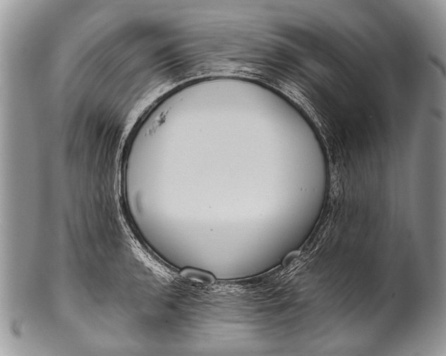 X0000100401136200806201730