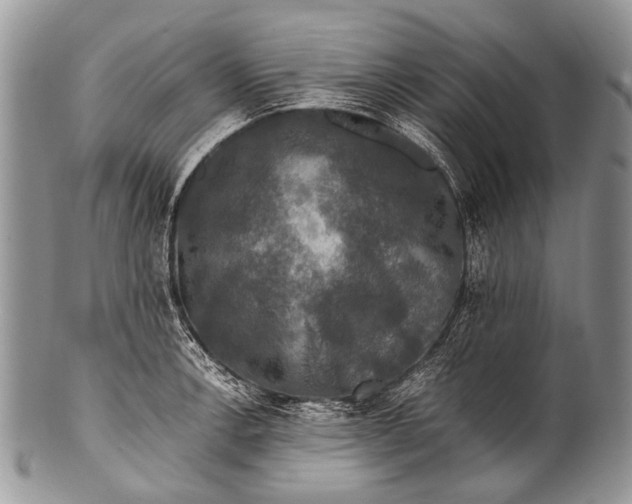 X0000100401138200806201730