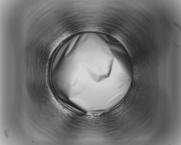 X0000100401139200806201730