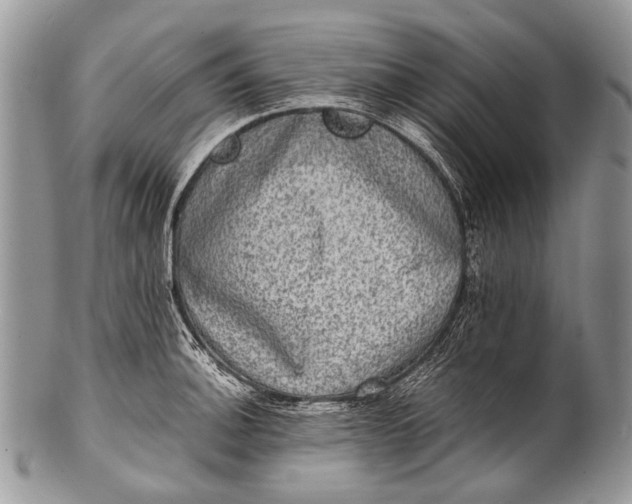 X0000100401140200806201730