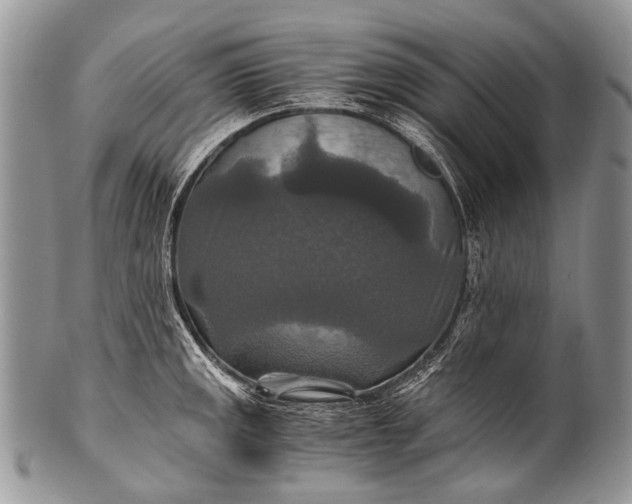 X0000100401141200806201730