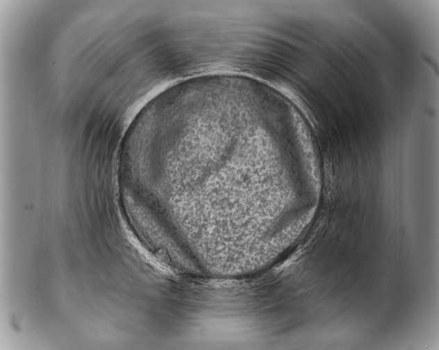 X0000100401142200806201730